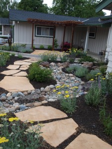 Front Walkway and Dry Creek Bed