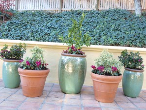 Grouping of Pots