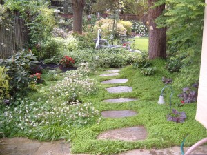 Lush Pathway