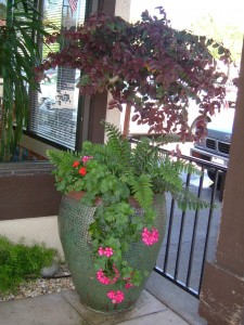 Pot with Spilling Flowers