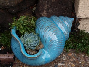 Snail Pot