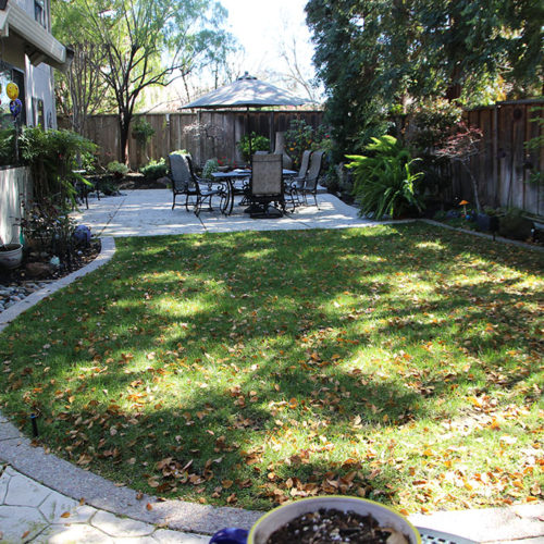 Before and After | Outer Visions Landscape Design