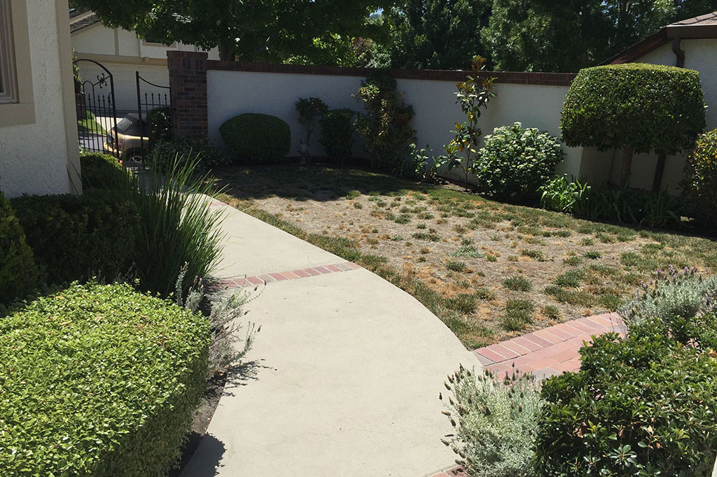 Before and After | Outer Visions Landscape Design